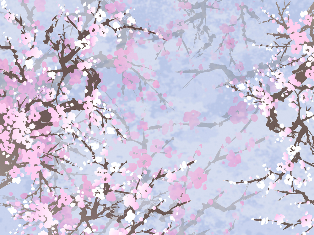 Коллекция SAKURA