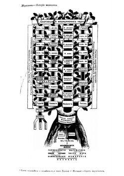 История и соотношение медицинских знаний | Мороховец Лев Захарович