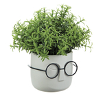 Кашпо СТИВ D115мм 0,65л с дренажной вставкой М3079