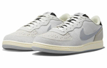 Кроссовки Nike Terminator Low "Phantom"