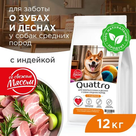Корм сухой для взрослых собак средних пород, премиум полнорационный комплекс, забота о зубах и деснах, с индейкой, 12 кг, QUATTRO