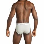 Мужские трусы брифы серые Sergio Dallini SG2940-3