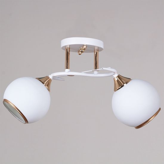 06117-0.3-02 WH+FG светильник потолочный