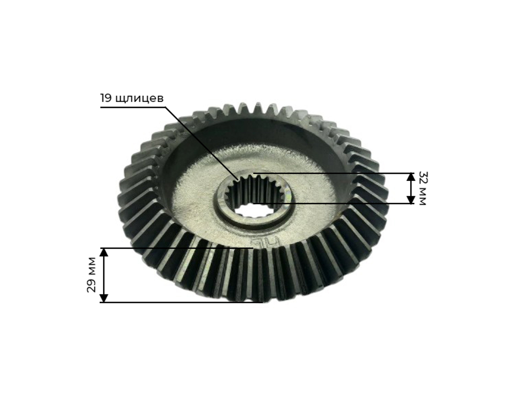 Z-4219-ZY254-RT-1