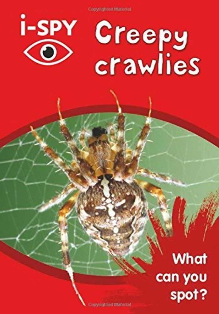 I-Spy Creepy Crawlies: What Can You Spot?
