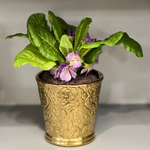 Кашпо золотистое малое