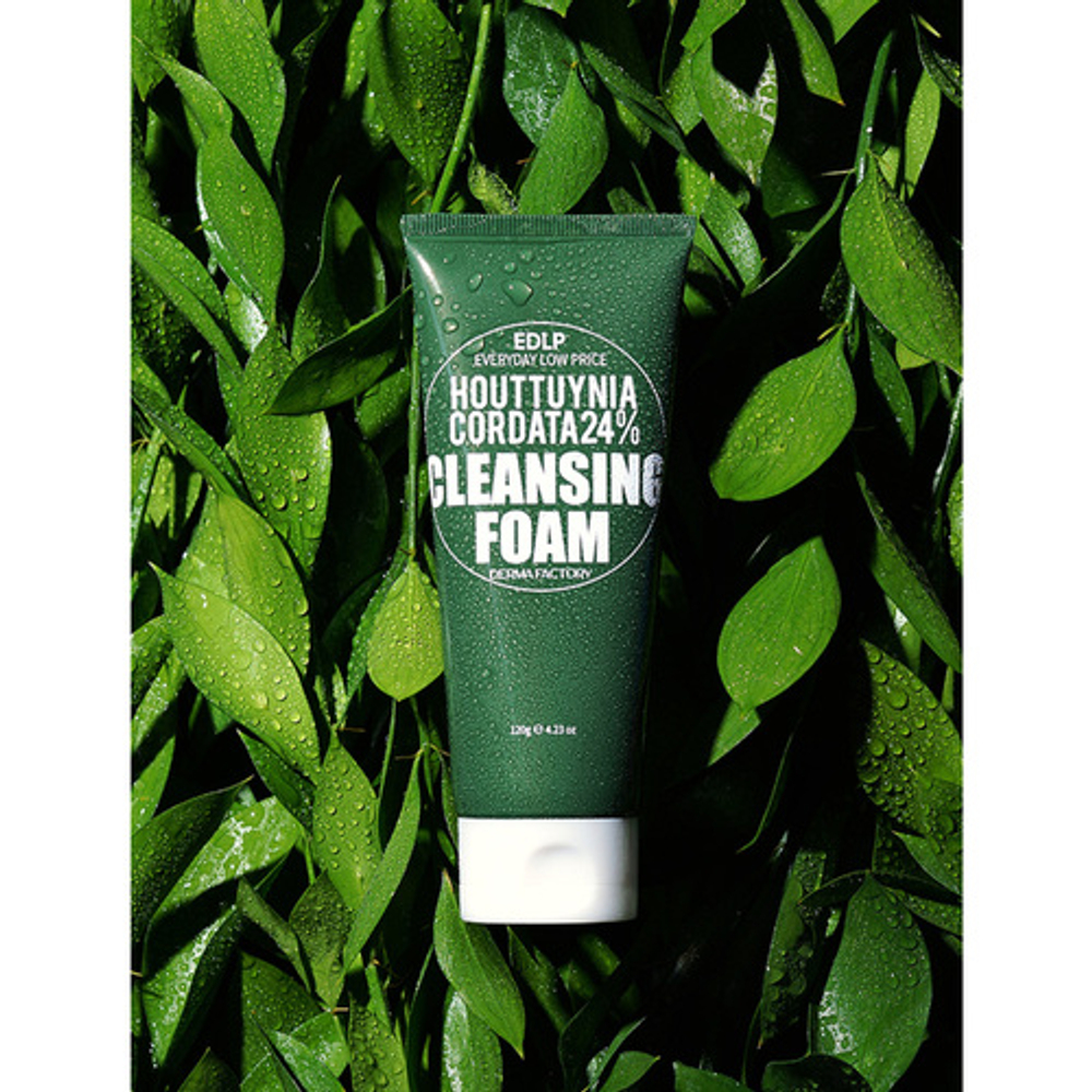 Derma Factory Пенка очищающая с экстрактом хауттюйнии - Houttuynia cordata 24% cleansing foam, 120г