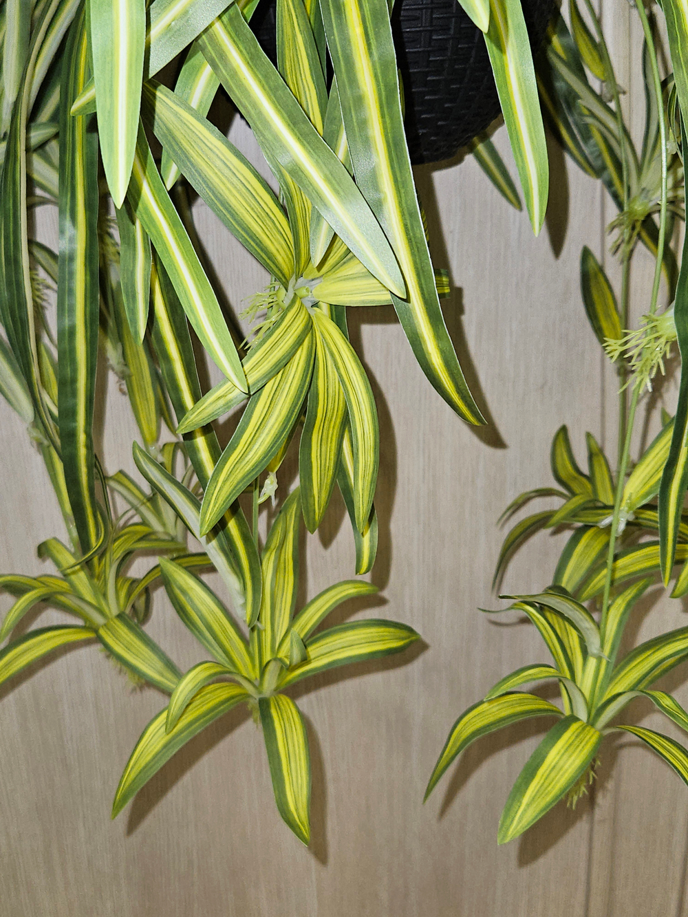 Искусственное растение Хлорофитум в подвесном темном кашпо