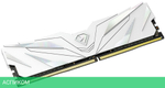 Оперативная память Netac Shadow II White 2x8GB DDR4 3200MHz (NTSWD4P32DP-16W)