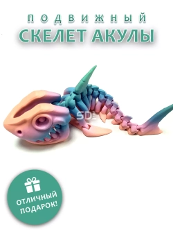Скелет Акула