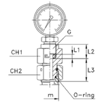 Соединение GCN DL08 М14х1.5 BSP 1/4" (без манометра) CAST