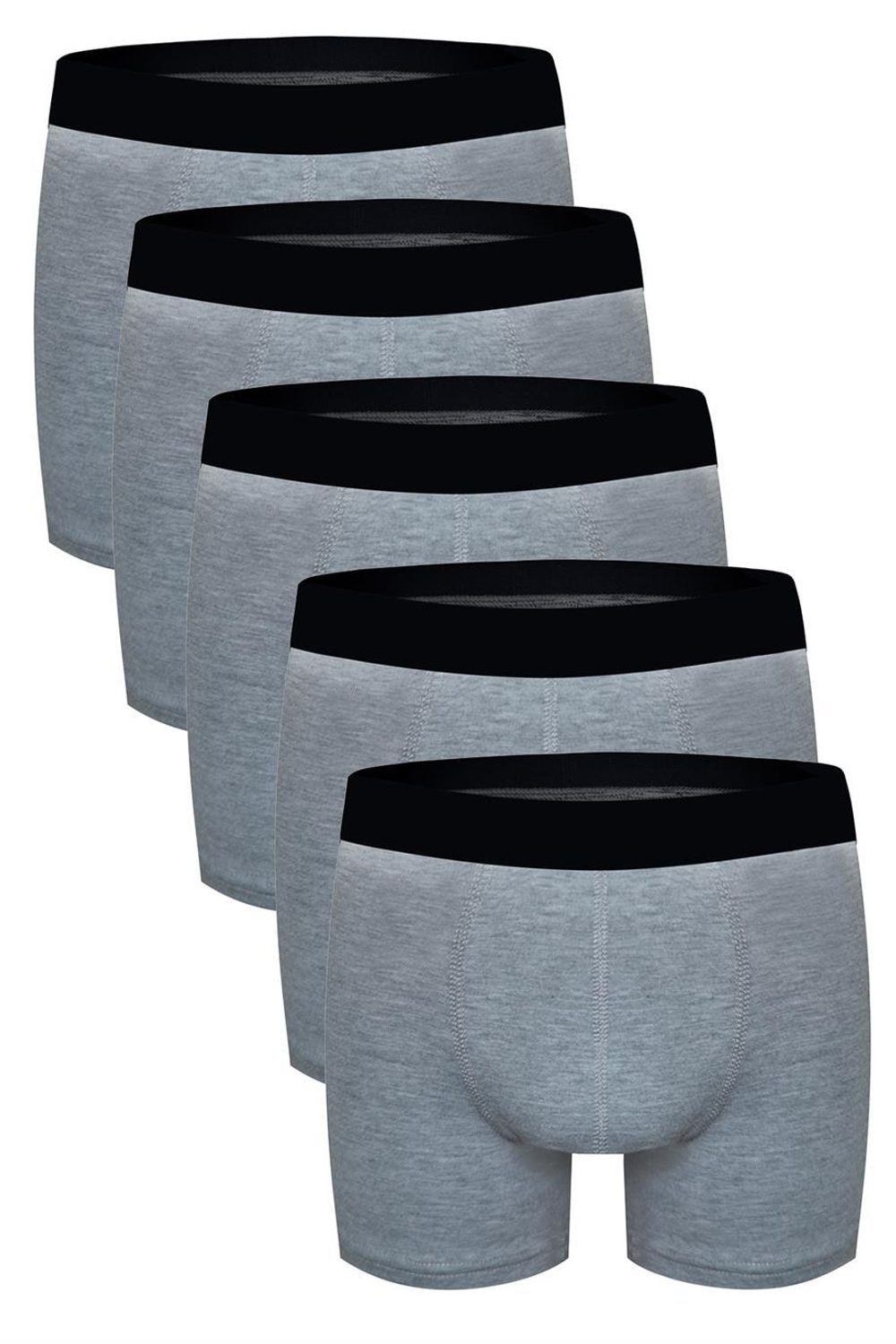 Набор из 5 серых трусов-боксеров (Размер: XXL) (Цвет: серый)
