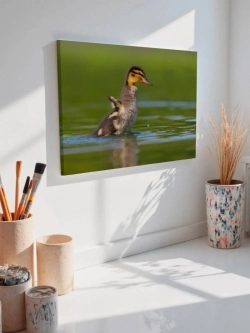 Картина на стену 40 X 50 Утенок