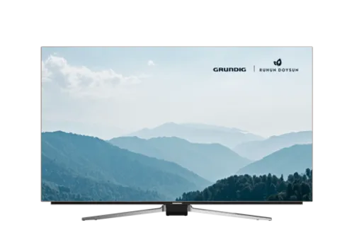 Телевизор Grundig 55GOB9290 - рис.9