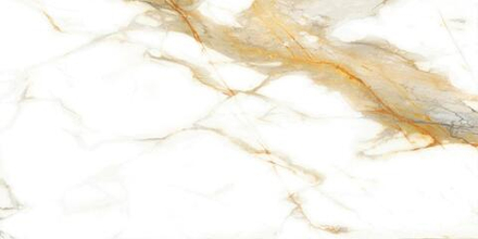 Calacatta Oro GFA114CLR04L