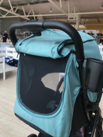 Коляска прогулочная Peppy Latina ART (mint fresh) мятная, вышивка