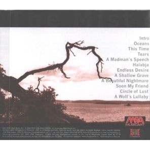 The Mist Of Avalon / Here And After (RU)(CD)
