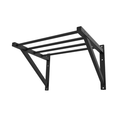 Турник настенный Protrain FT5100