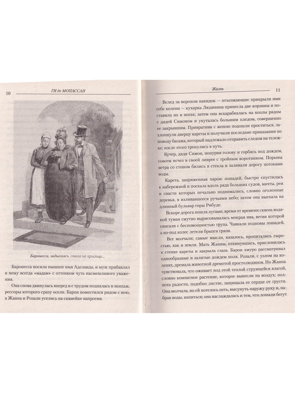 Жизнь. Рассказы Вальдшнепа