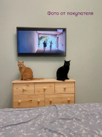 Комод, 113х35х73, Хаба, с ящиками, для одежды, деревянный, прозрачный лак, Dipriz