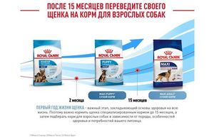 Корм для щенков крупных пород до 2-х месяцев и беременных сук, Royal Canin Maxi Starter Mother & Babydog