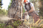 Бензопила Stihl MS 230 шина 40 см