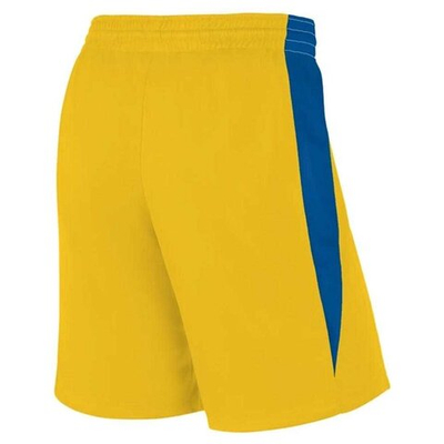 Баскетбольные шорты Nike Team Basketball Stock Short 20 Yellow