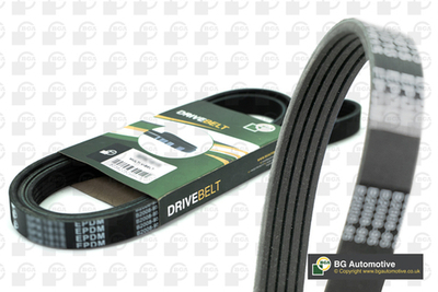 BGA - 5PK1135-BGA - V-ribbed Belt