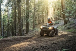 Квадроцикл Kawasaki Brute Force KVF 750 4X4I EPS Camo (2023)
