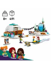 Конструктор Friends 41760 Праздничное приключение в иглу