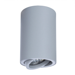 Светильник потолочный Arte Lamp Sentry A1560PL-1GY