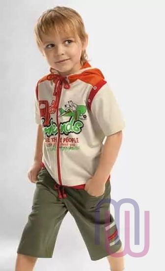 Джемпер для мальчиков Pelican BXTK 284