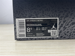 Air Jordan 3 Retro CT8532-080