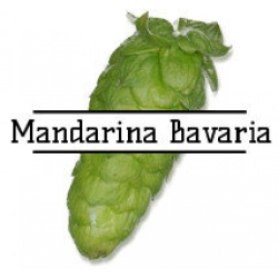 hmel-mandarina-bavariya-mandarina-bavaria-25gr-1000x1000 (1)