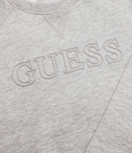 худые GUESS ACTIVE - серый(L2RQ20 K9V31)