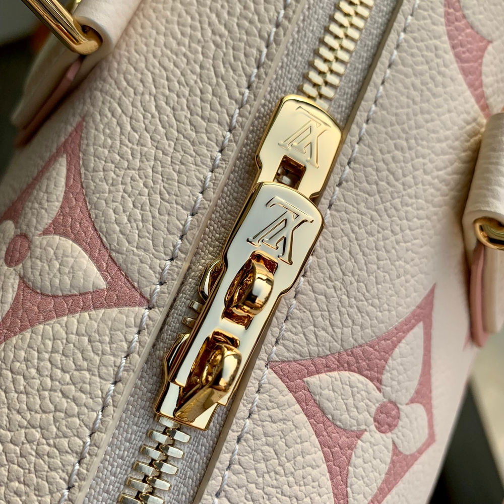 Louis Vuitton Speedy 20
