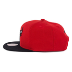 Кепка Mitchell & Ness Team 2 Tone 2.0 Snapback NBA Chicago Bulls