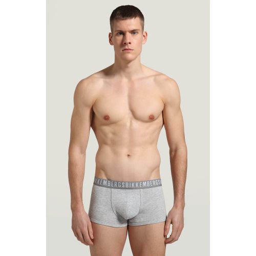 Мужские трусы хипсы серые набор 2 в 1 Bikkembergs CLASSIC BKK1UTR02BI/2