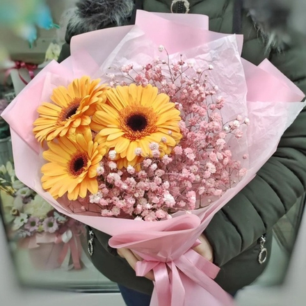 Букет из 3 гербер и цветной гипсофилы