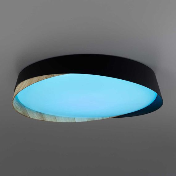 Светильник потолочный Citilux BONNY CL754351G