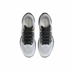Мужские кроссовки Nike Air Zoom Pegasus 41 PRM 'White Black Gold' HQ2938-100