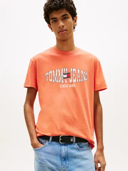 Футболка мужская TOMMY JEANS TJM REG LA WAVING FL