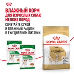Royal Canin Chihuahua Adult Чихуахуа Эдалт Корм сухой для взрослых собак породы Чихуахуа от 8 месяцев 1,5кг