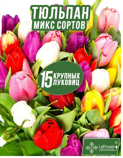 Тюльпан Луковица, Микс сортов 15 шт, крупные