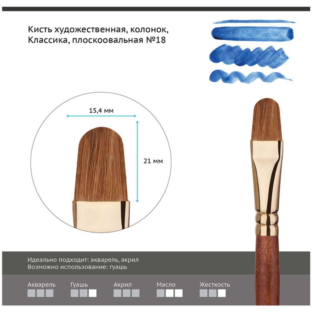 Кисть художественная колонок Гамма "Классика", плоскоовальная №18