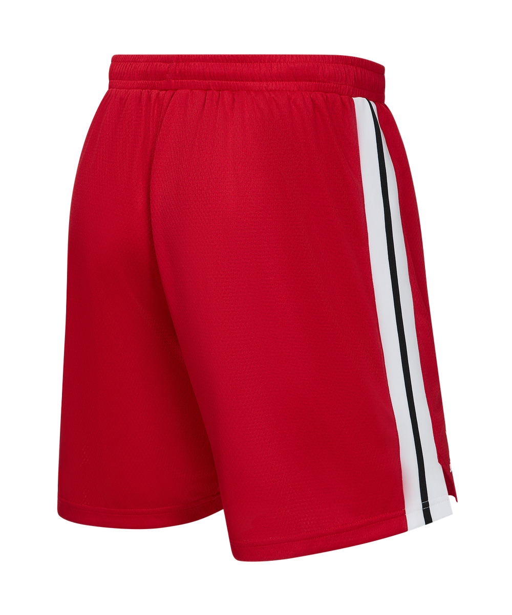 Шорты баскетбольные JÖGEL DIVISION PerFormDRY Shorts R2, красный