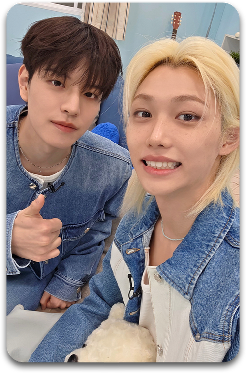 Карта / STRAY KIDS #4198