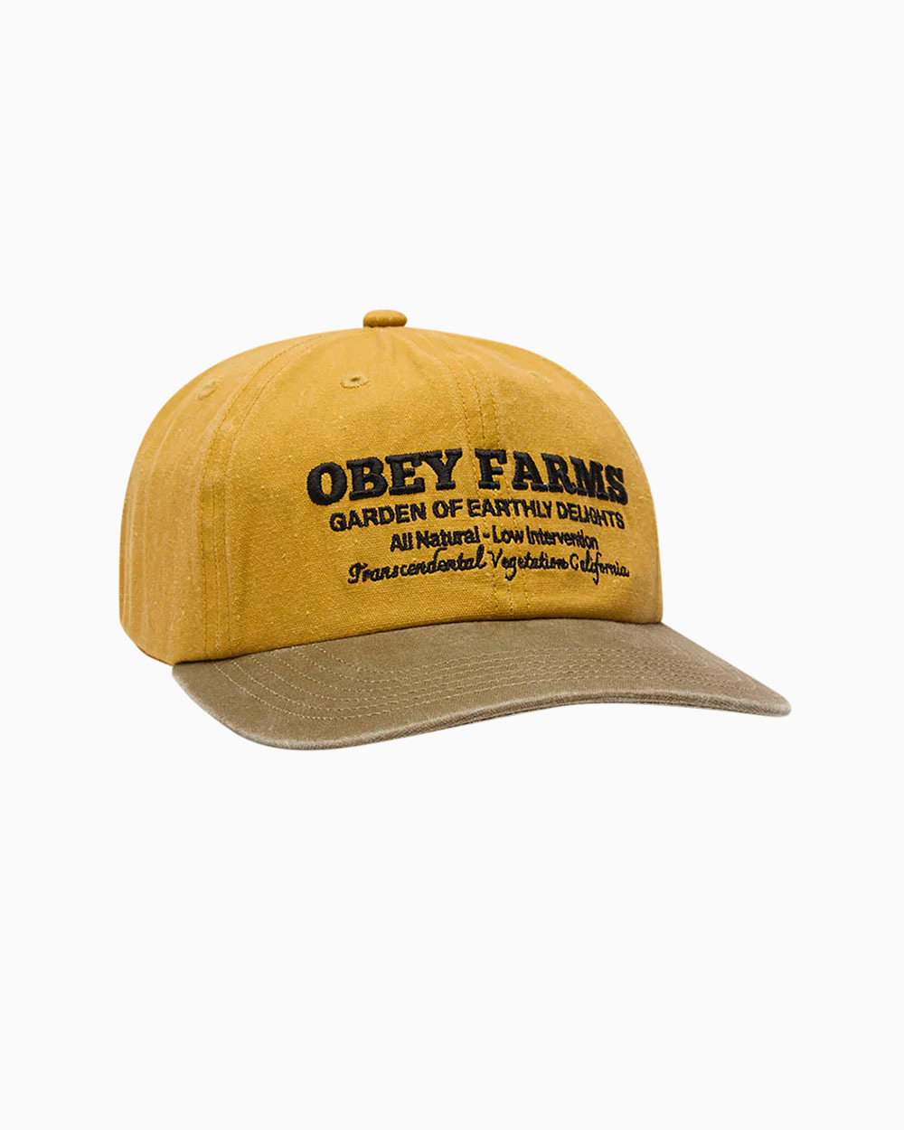 Кепка Obey Pigment Farms 6