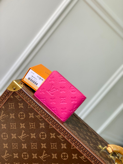 Louis Vuitton Multiple Wallet