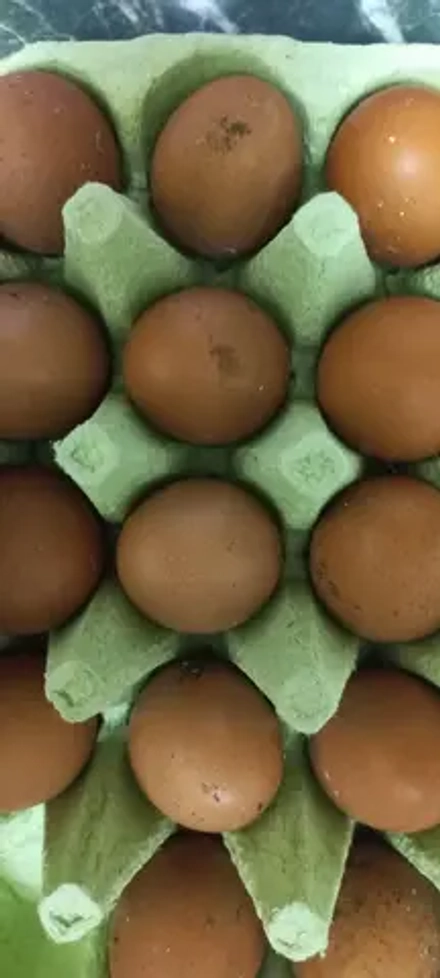 Яйцо куриное Маран мелкое